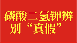 磷酸二氢钾辨别“真假”？基地胡叔有经验