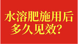 水溶肥施用后多久见效？