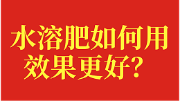 水溶肥如何使用效果更好？