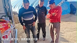 水溶肥怎么用效果好？吴总分享案例