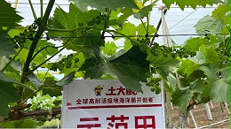 微生物菌剂的作用及使用方法