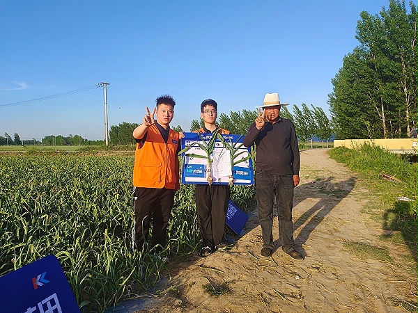 山东大蒜