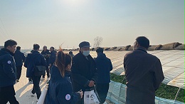 开春用菌剂，作物焕生机