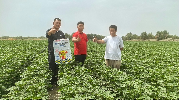 硼肥—新疆李老板棉花