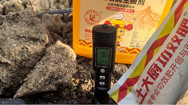 温室葡萄—用土大厨盐分降到0.63