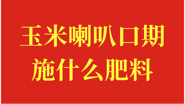 玉米喇叭口期施什么肥料