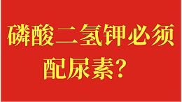 磷酸二氢钾必须配尿素？具体问题具体分析