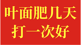 叶面肥几天打一次好？种植户发言