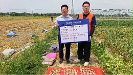 高温高湿诱发大蒜根腐病，土壤问题才是关键