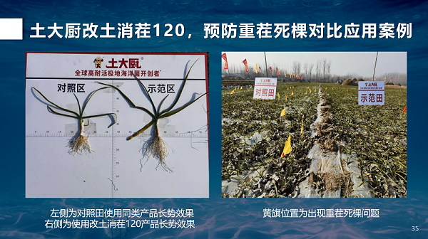 改土消茬120实验