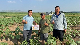 买肥只比价格，是在透支土地的未来