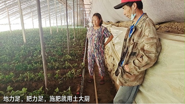 草莓开花用什么肥料-土大厨服务