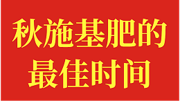 秋施基肥的最佳时间？一起学习方法