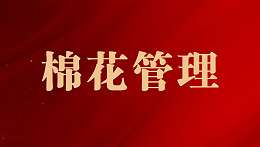 棉花播种后正确做到以下几点，保障棉花全年丰产丰收！