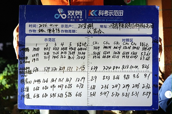 山东莘县甜瓜测数据