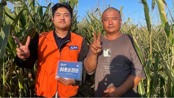 内蒙古玉米-