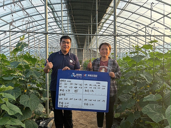 山东黄瓜-双剪抗盐生根菌 -