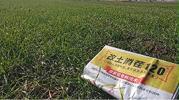 “雪中送炭”的农技革命—小麦年前追肥