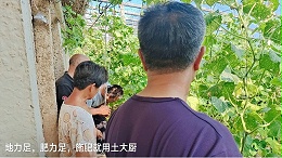 生根剂哪家好？种植户案例来了