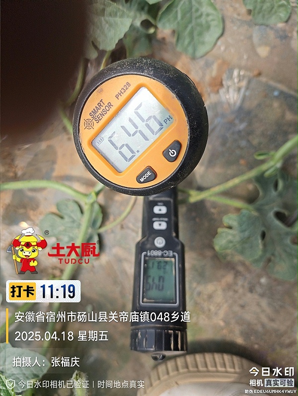 西瓜重茬用土大厨极地海洋菌