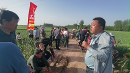 微生物肥料效果不好？很多人认为是智商税？