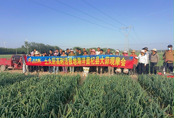 微生物肥料-山东大蒜观摩会 (2)