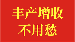 桃树施肥这样用，丰产增收不用愁