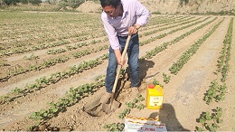 水溶肥价格多少钱一吨？品质决定