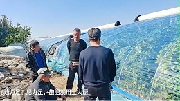 水溶肥经销商关注这几点，更上一层楼